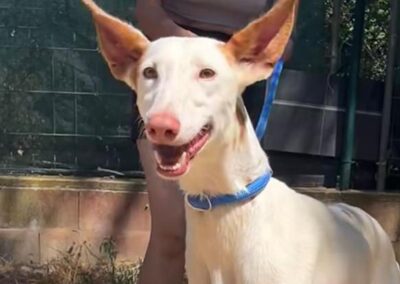 BLANCA